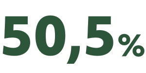 50,5% (300 x 150 px) 3